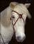 Grani